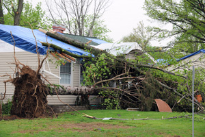 wind damage repair